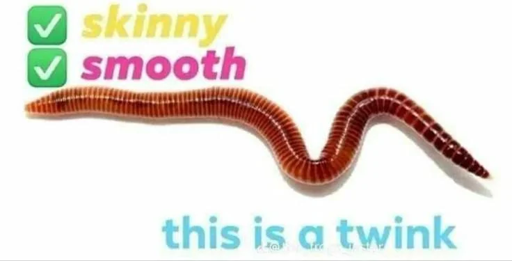 A picture of an earth worm. Skinny? Check. Smooth? Check. This is a twink.