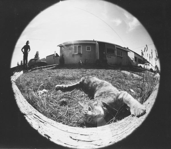 A black and white photo of a person standing to the left of of a house with a cat lying on the grass, fish-eye lens